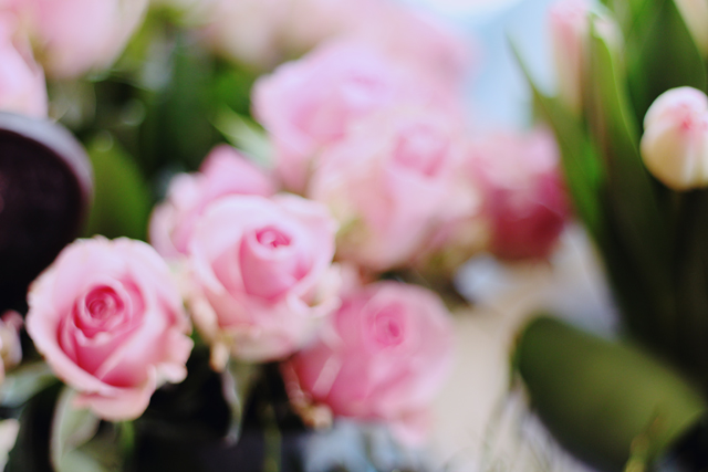 rosa rostig kiel blücherplatz förde fräulein kiel blog blumenladen kiel vintage