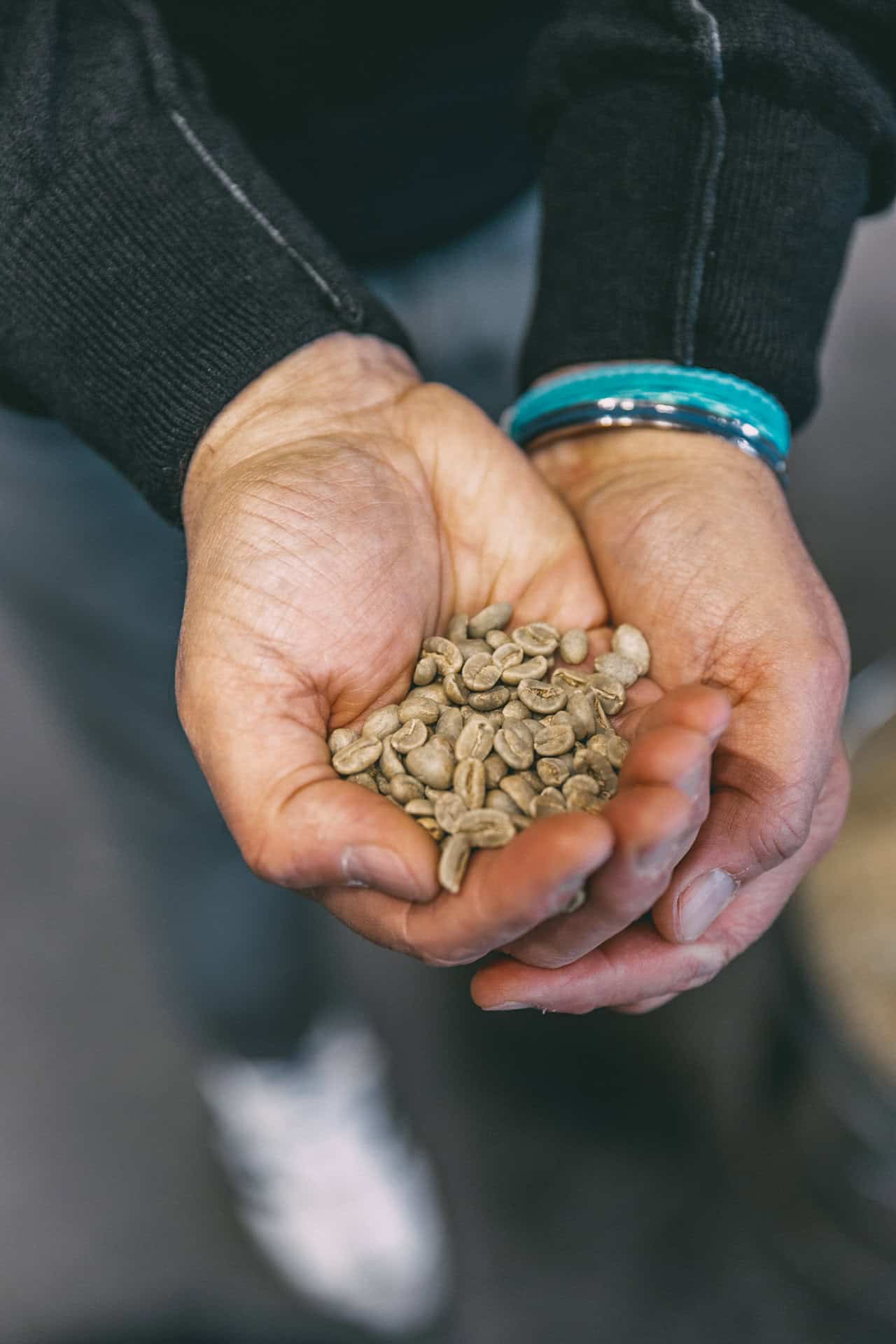 Eine Hand voll ungerösteter Kaffee