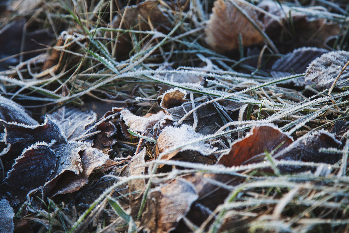 Ein Wintertag in Kiel: Spazieren an der Förde und im Schrevenpark, Kaffee trinken und heiße Schokolade selber machen