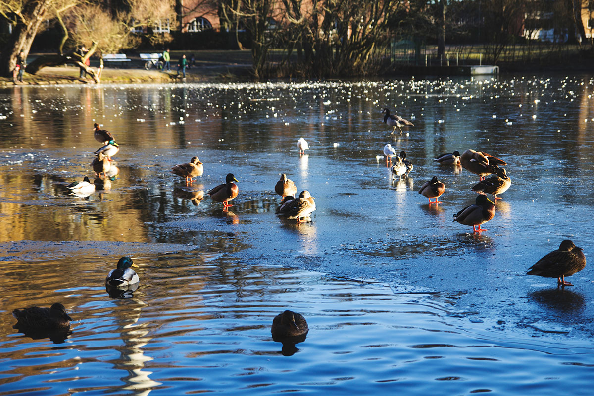 Ein Wintertag in Kiel: Spazieren an der Förde und im Schrevenpark, Kaffee trinken Café Hilda und heiße Schokolade selber machen