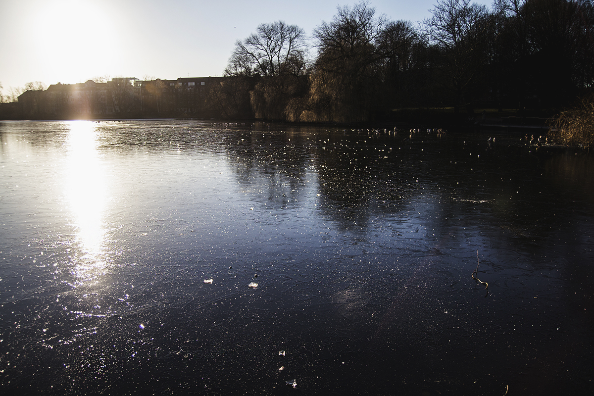 Ein Wintertag in Kiel: Spazieren an der Förde und im Schrevenpark, Kaffee trinken Café Hilda und heiße Schokolade selber machen