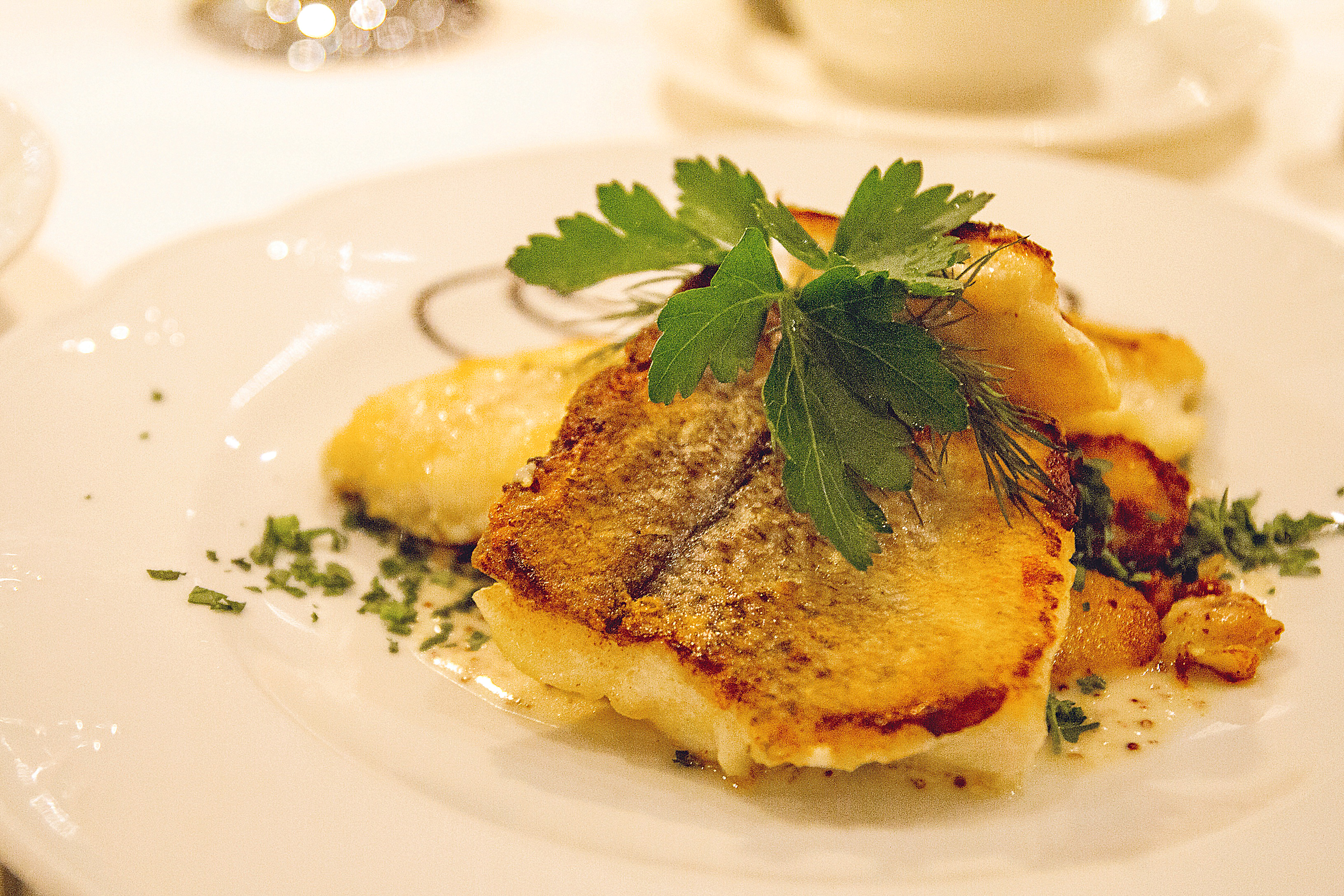 HotelBirke_FrischerFritz_Restaurant_Fisch_Filet