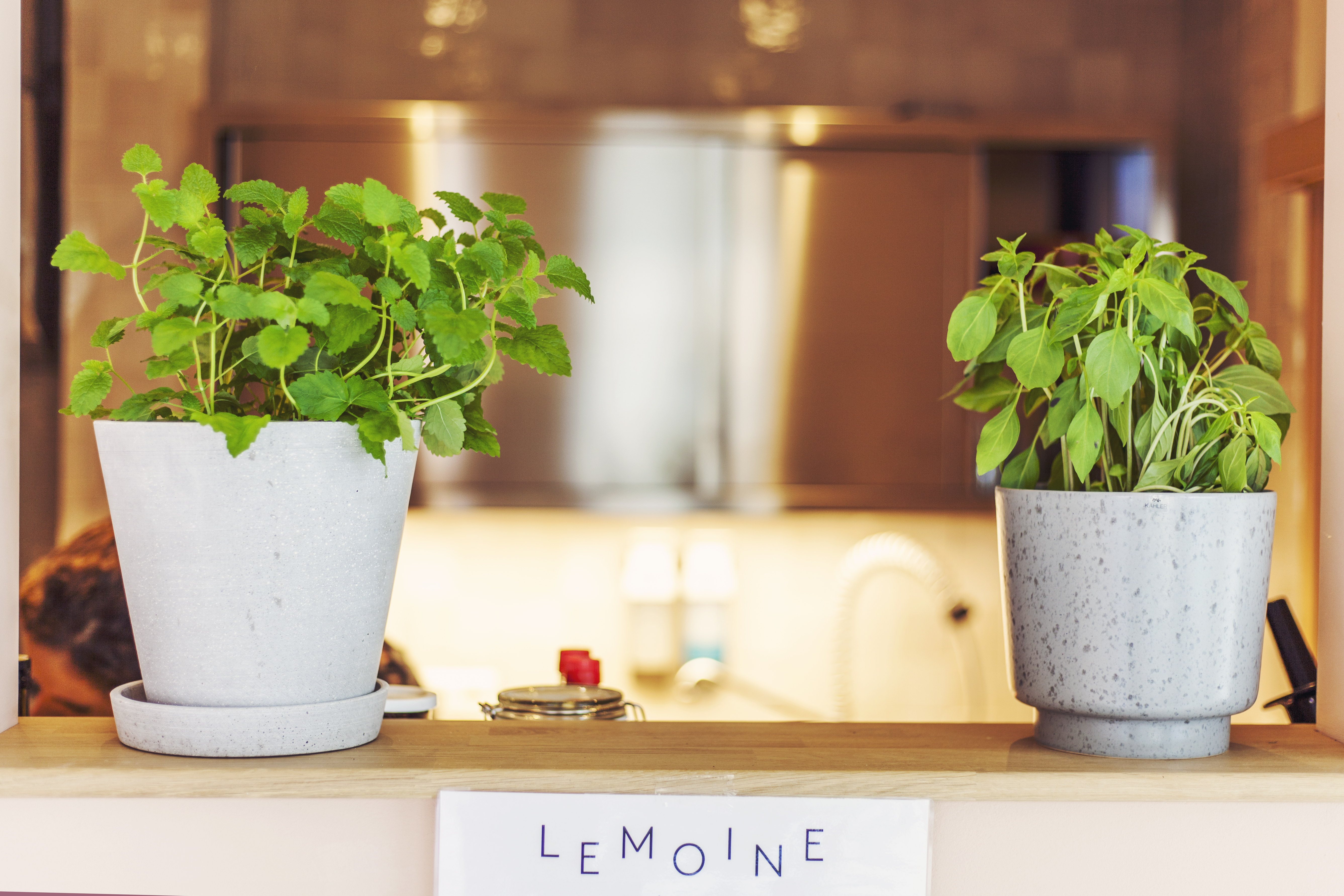 Entdecke das Bistro und Café Le Moine in Einfeld bei Neumünster: vegan, lokal, biologisch und gesund!