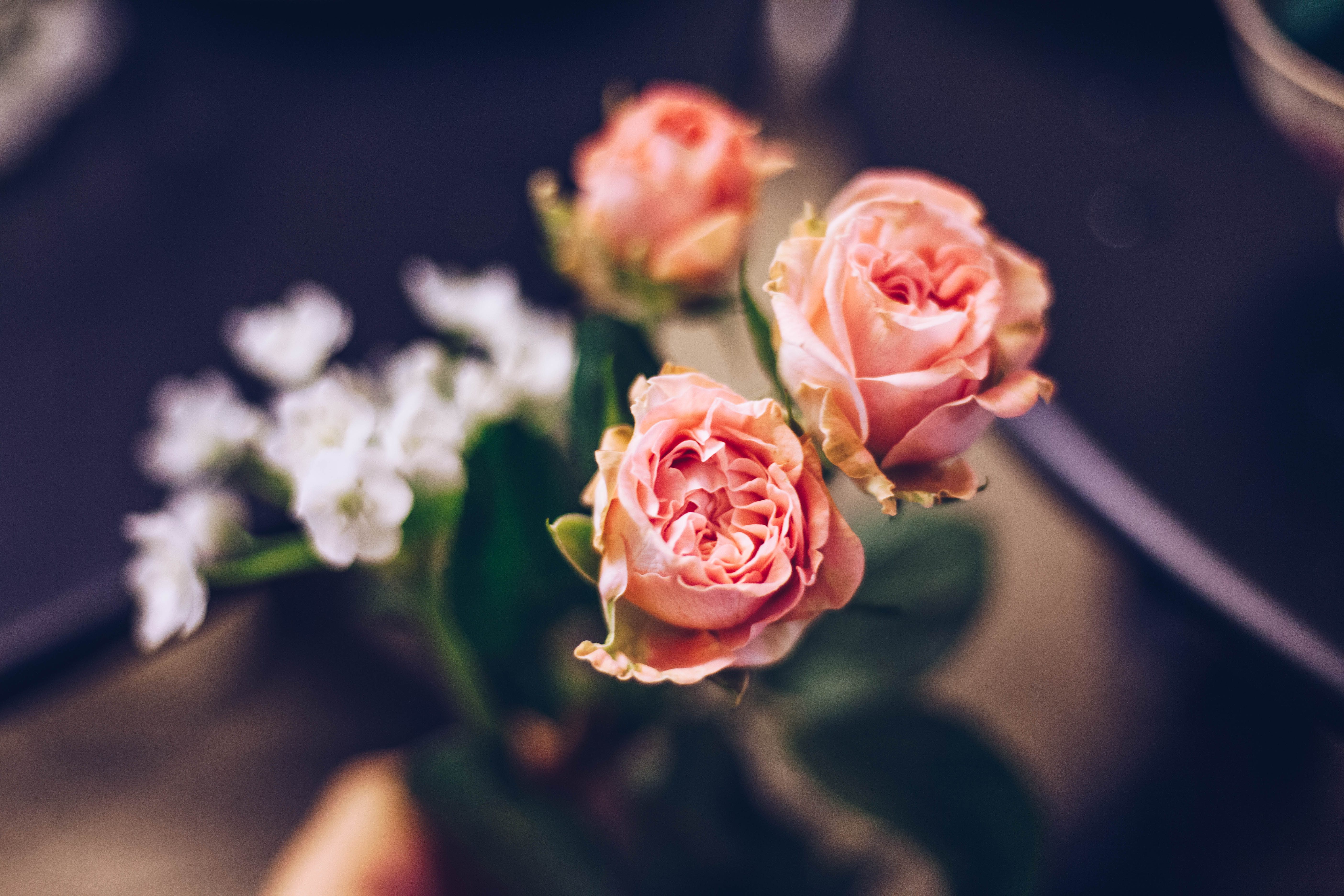 Bei einem Floristik-Workshop im Laden Raumzutat in Kiel zeigt dir Floristin Oleksandra wie du kleine, florale Kunstwerke selbst gestalten kannst.