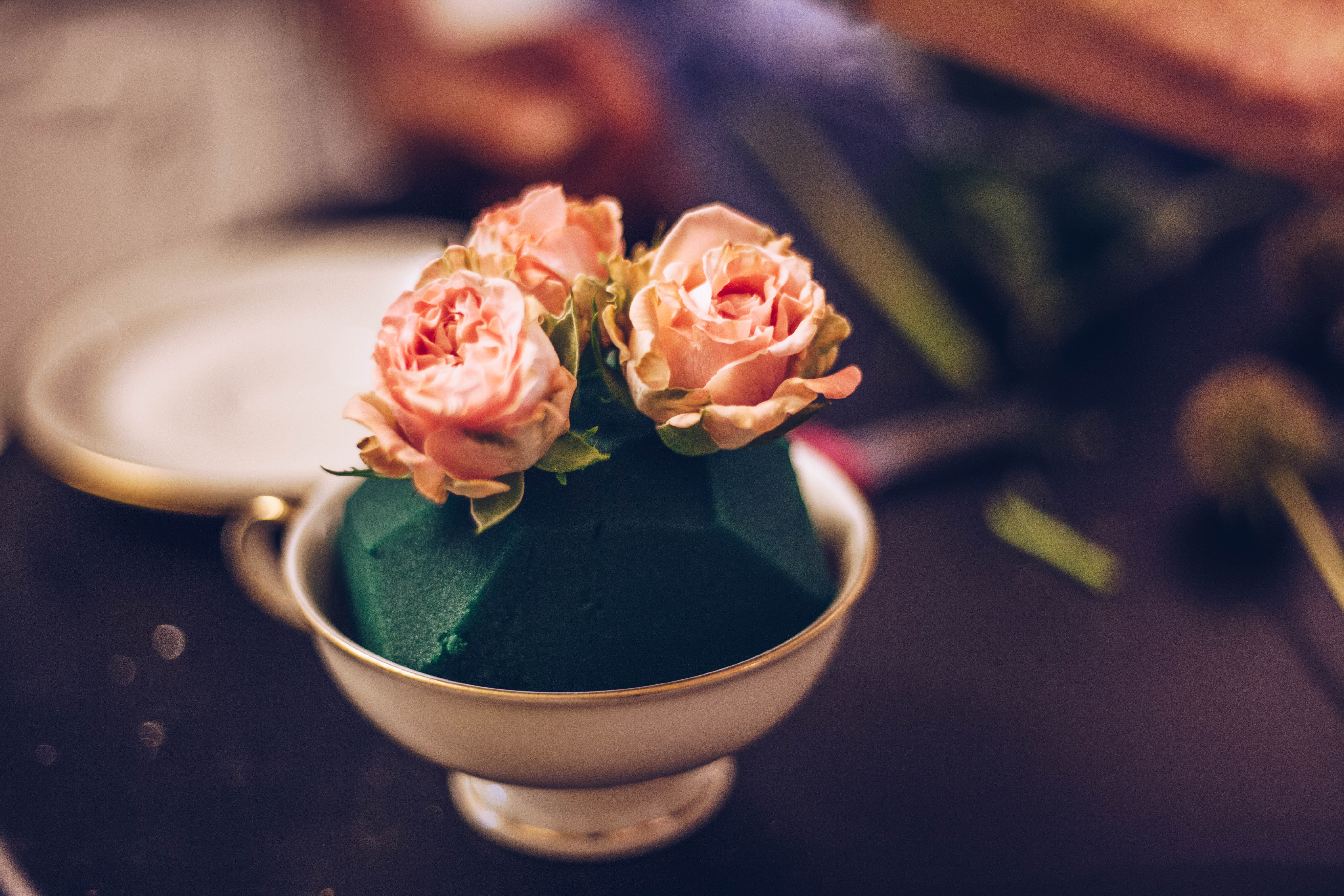 Bei einem Floristik-Workshop im Laden Raumzutat in Kiel zeigt dir Floristin Oleksandra wie du kleine, florale Kunstwerke selbst gestalten kannst.