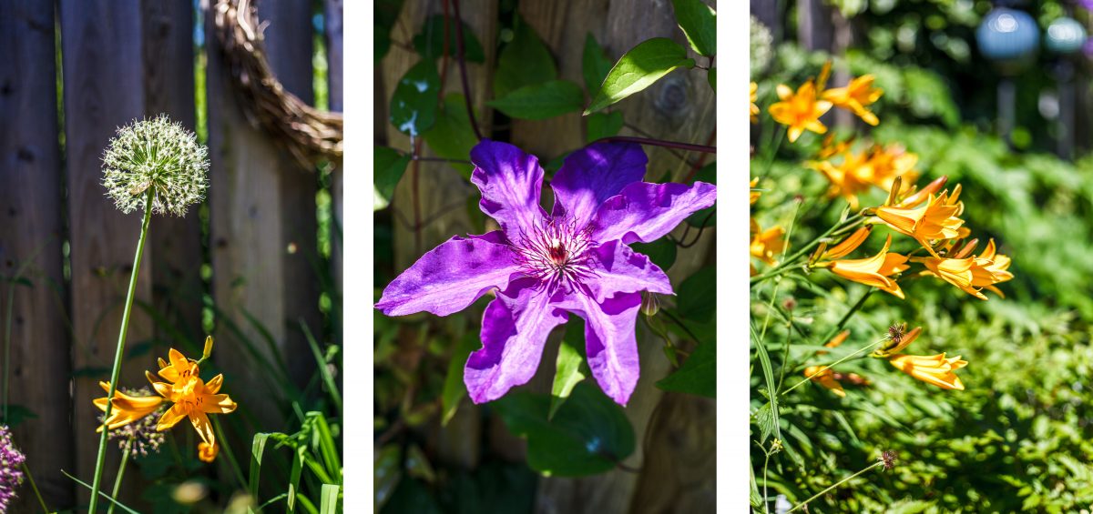 So wohnt der Norden: Eine Garten-Homestory aus Schönberg