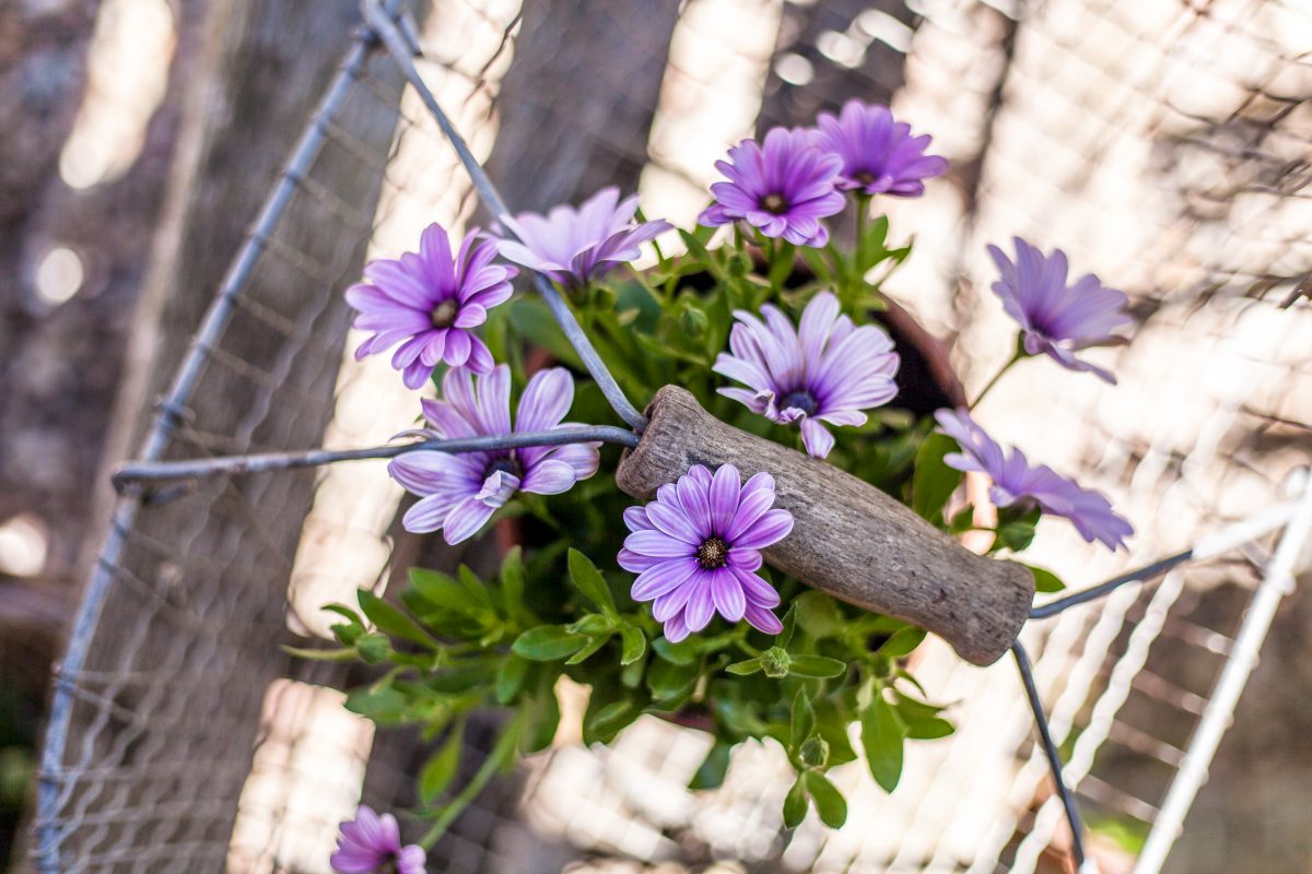 So wohnt der Norden: Eine Garten-Homestory aus Schönberg