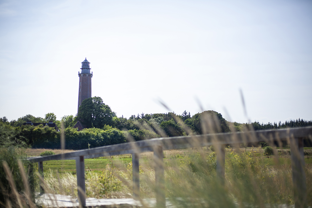 Begleite mich auf ein Leuchtturm-Picknick mit hella Mineralbrunnen in die wunderbare Natur und an den schönen Strand der kleinen Gemeinde Behrensdorf in der Hohwachter Bucht.