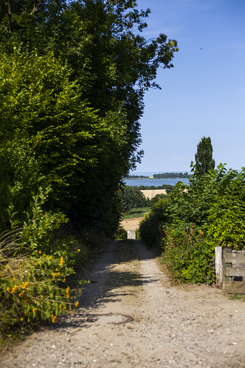 Begleite mich auf ein Leuchtturm-Picknick mit hella Mineralbrunnen in die wunderbare Natur und an den schönen Strand der kleinen Gemeinde Behrensdorf in der Hohwachter Bucht.