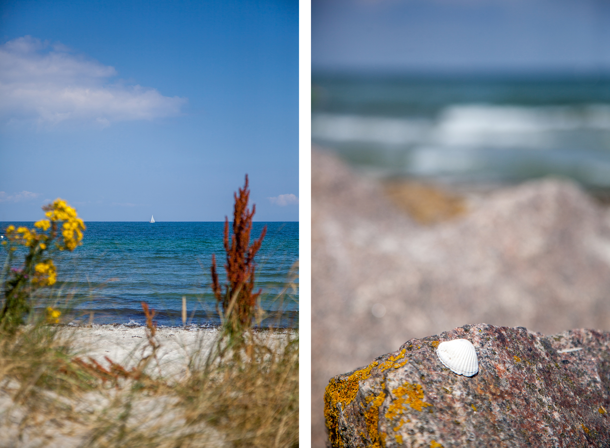 Hotel Strandräuber: Ostseeurlaub in Kalifornien