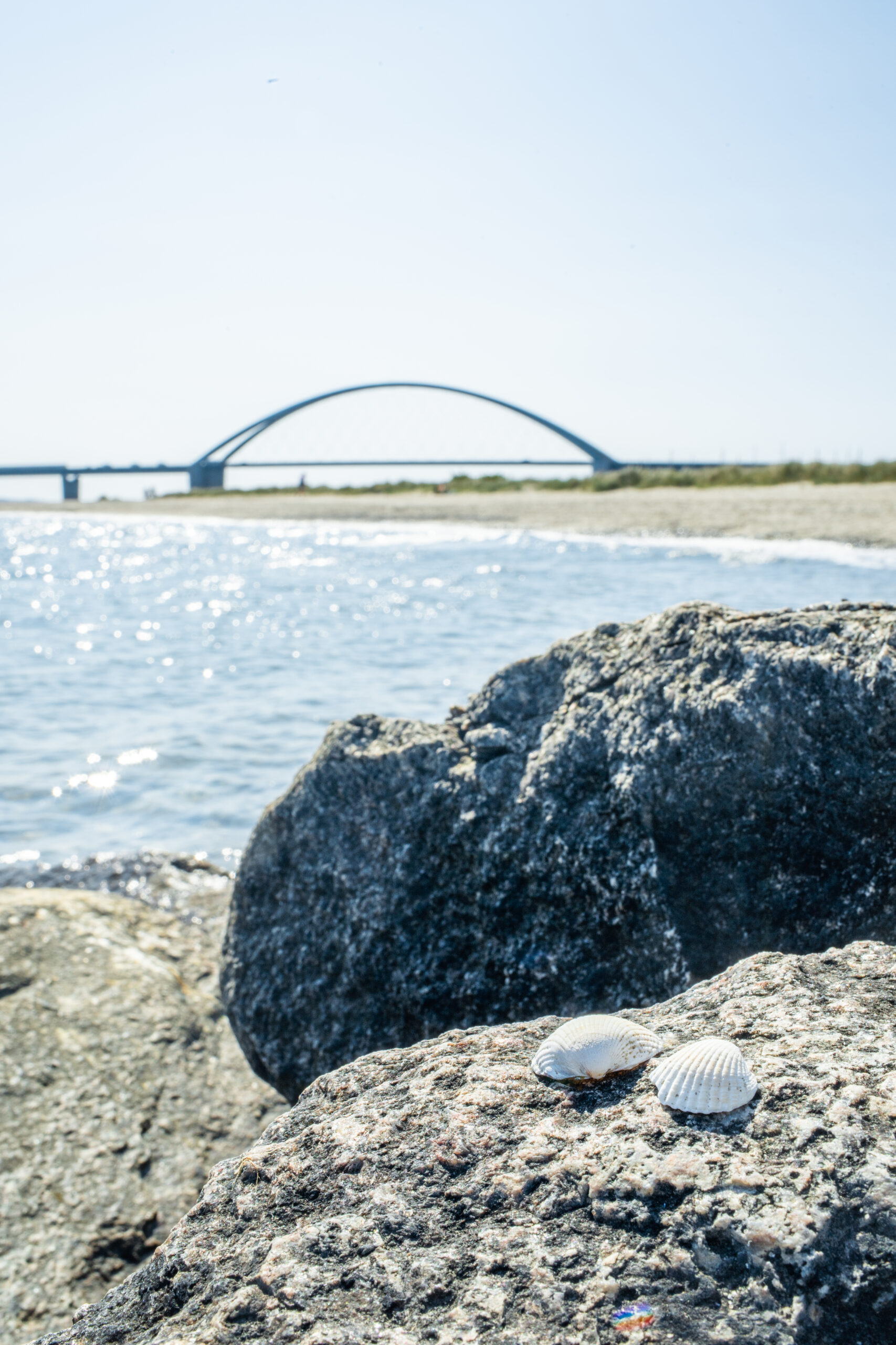 Die Fehmarnsundbrücke mit Meer im Vordergrund