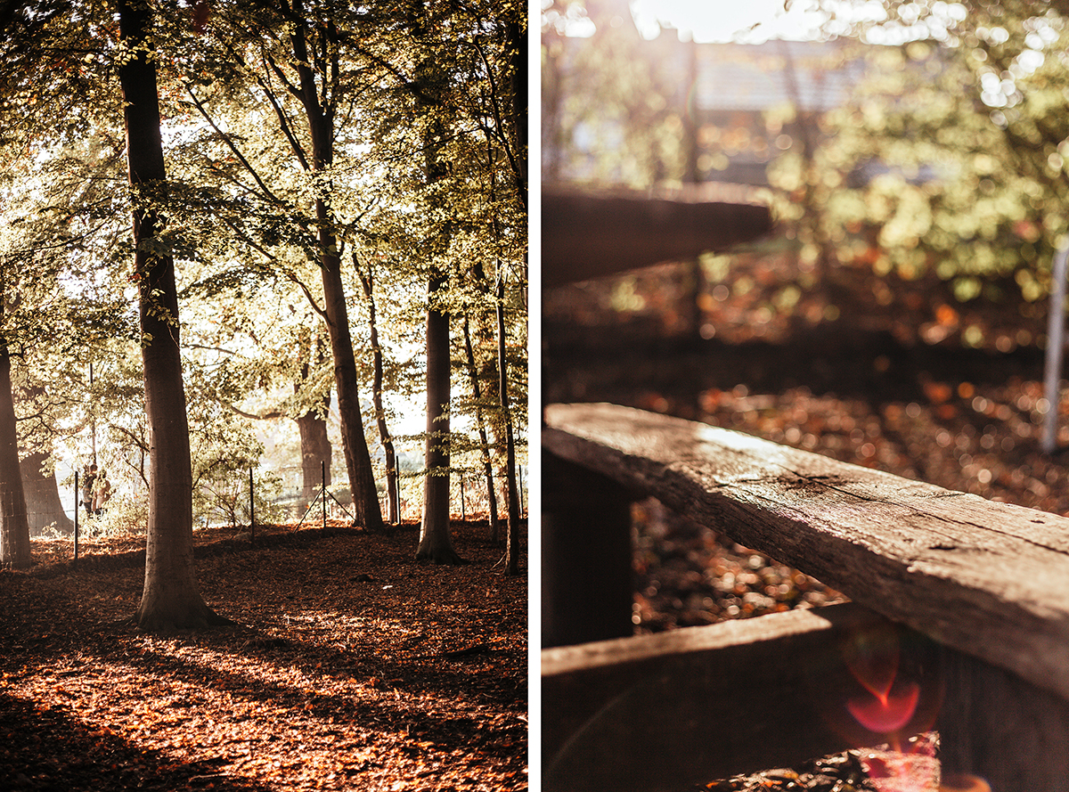 Herbstkranz_DIY_Kiel_Tannenberger-Gehoelz_Herbst