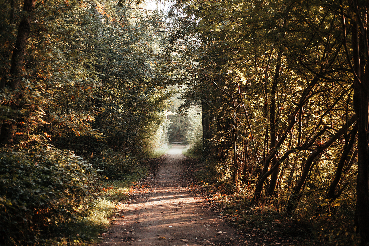 Herbstkranz_DIY_Kiel_Tannenberger-Gehoelz_Herbst