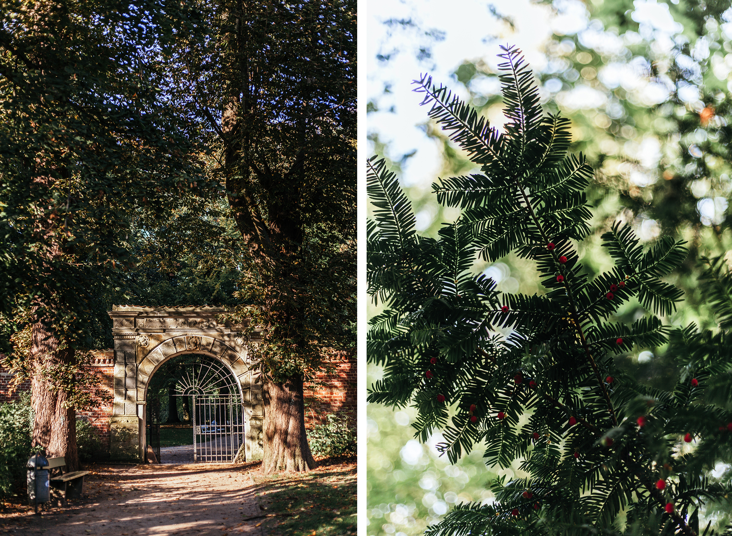 Bäume, Äste und ein Tor im Husumer Schlosspark