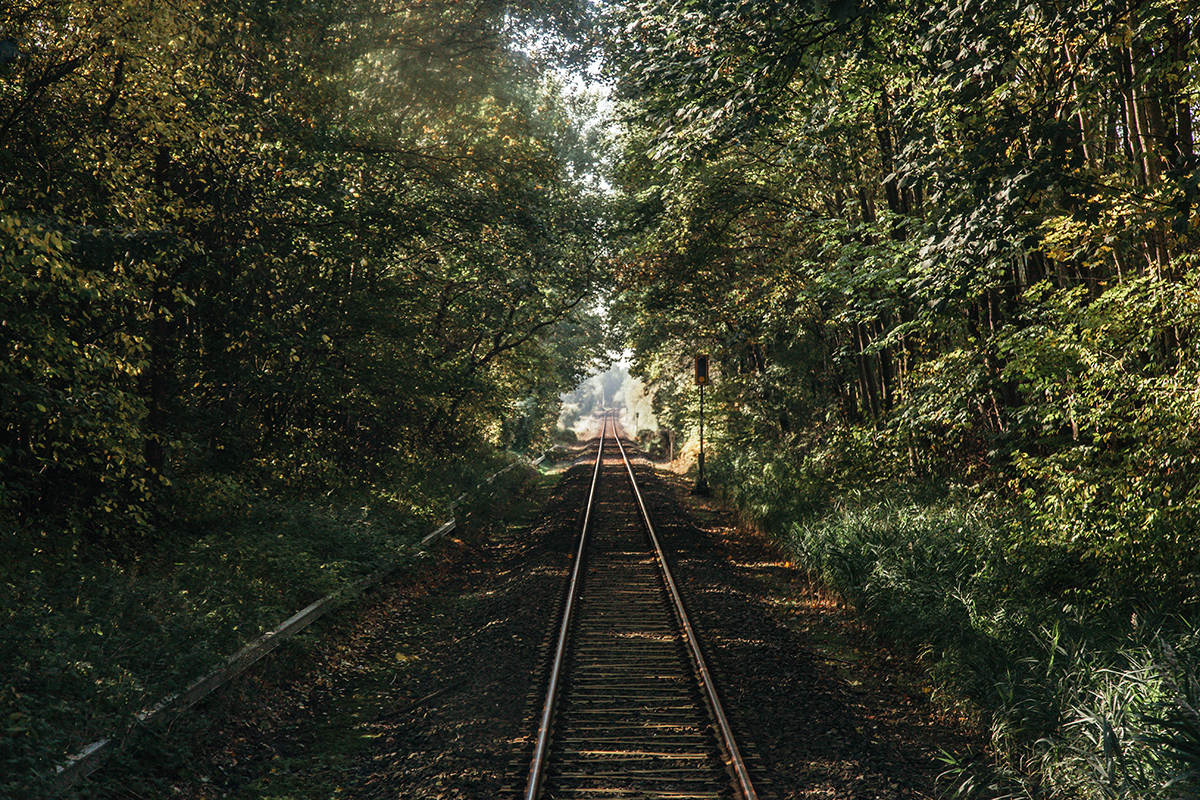 Bahngleise im Wald