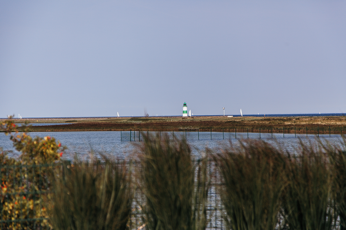 Urlaub im Ostseeresort Olpenitz: Albatros Villa Leuchtturm