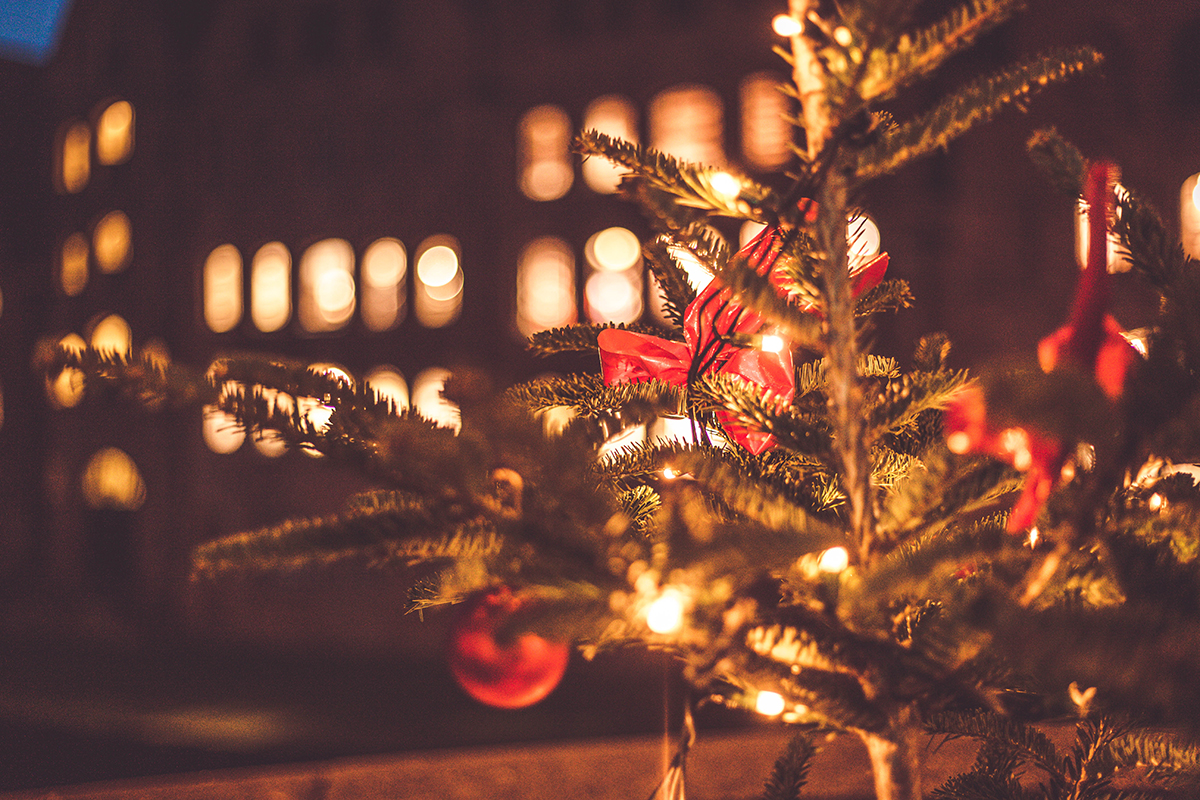 Schlendere jetzt mit mir durch die geschmückten Altstadtstraßen und über den wunderschönen Lübecker Weihnachtsmarkt. Dort wartet ein neuer Geheimtipp!