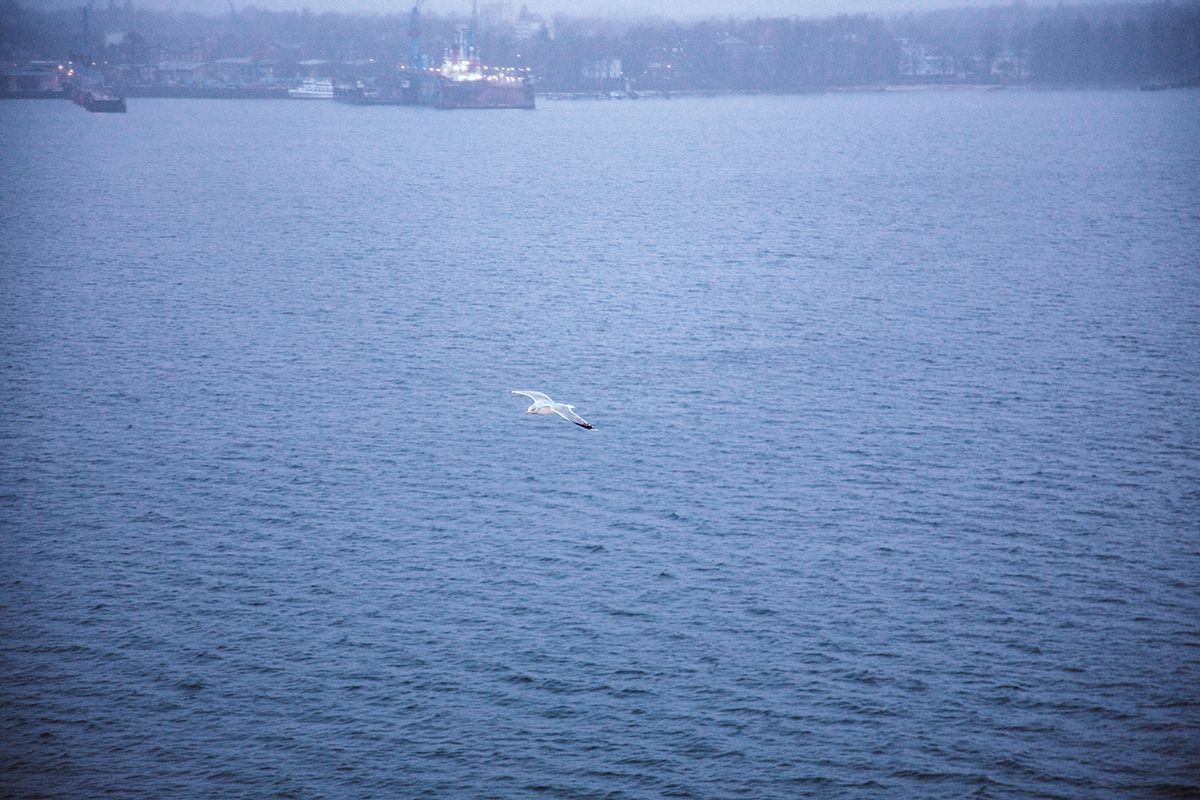 Ich habe einen Minitrip mit Stena Line von Kiel nach Göteborg in Schweden unternommen. Hier berichte ich dir von meinen Erfahrungen an Bord der Fähre.