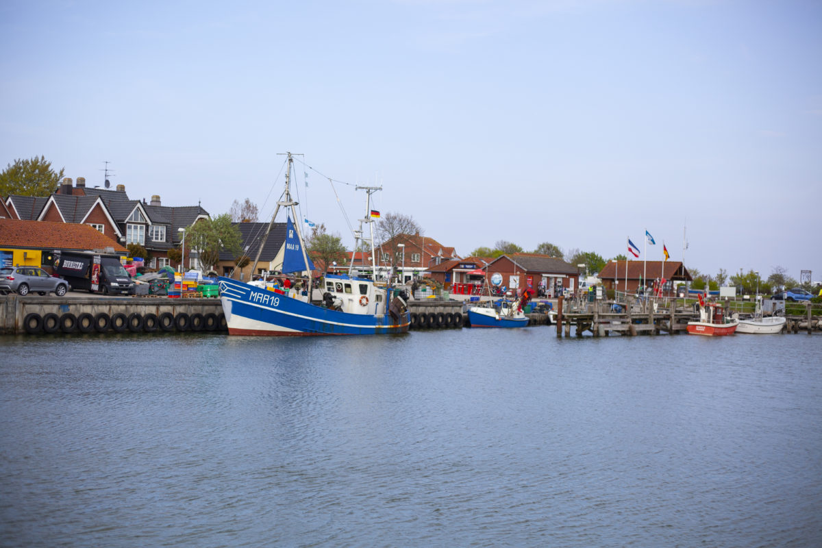 Ahoi Maasholm: So schön ist das Fischerdorf an der Schlei