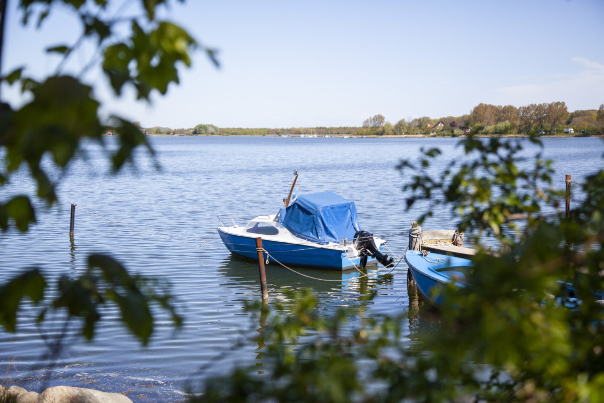 Ahoi Maasholm: So schön ist das Fischerdorf an der Schlei