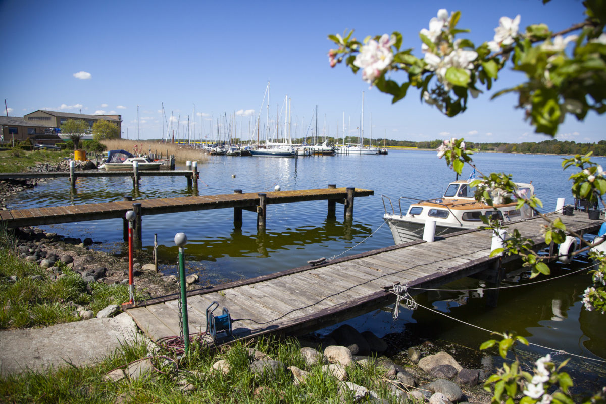 Ahoi Maasholm: So schön ist das Fischerdorf an der Schlei