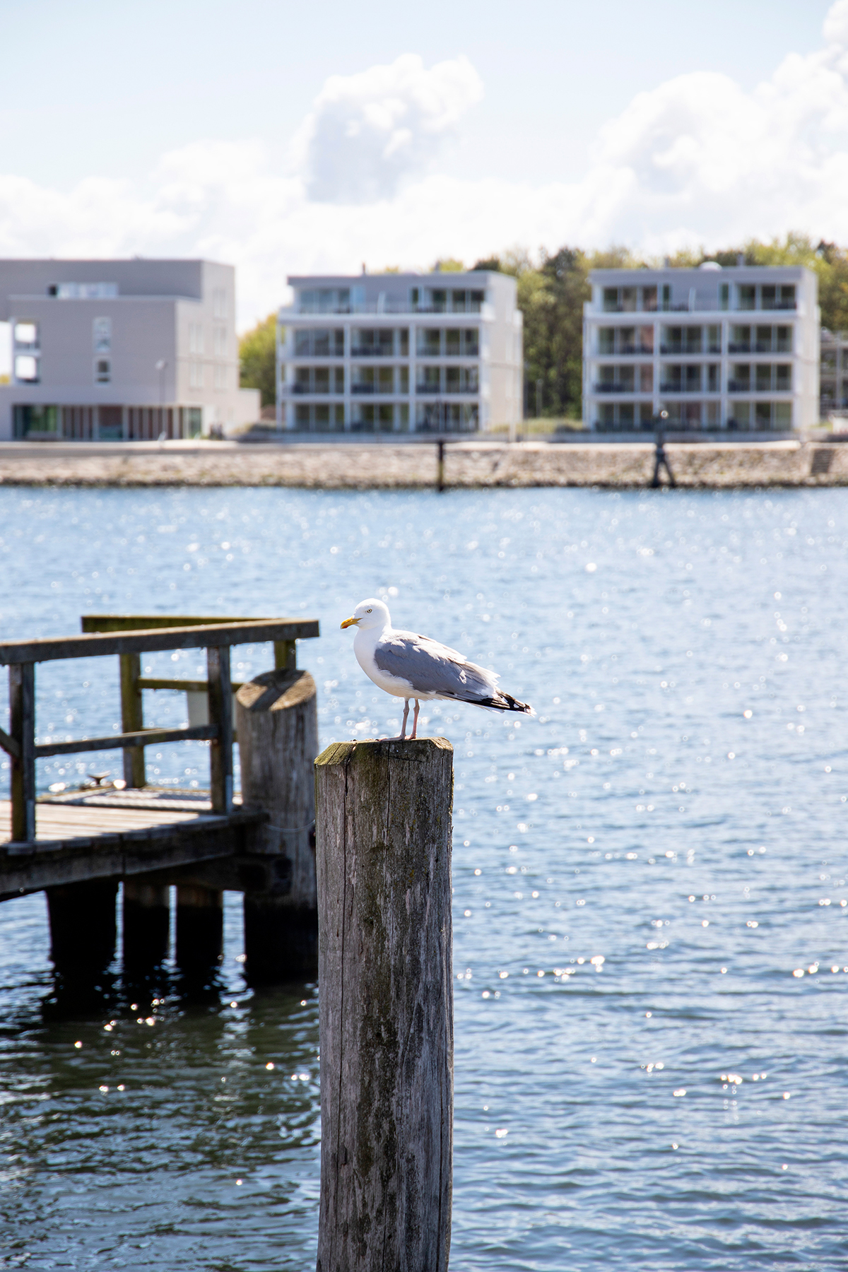 Ausflug nach Travemünde in Schleswig-Holstein an der Ostsee 