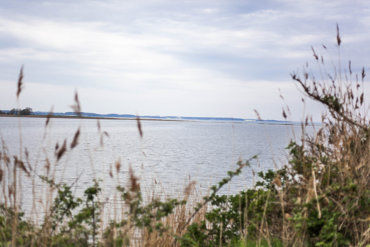 Schöne Schlei-Region: Komm' mit auf eine Fahrradtour zur Geltinger Birk