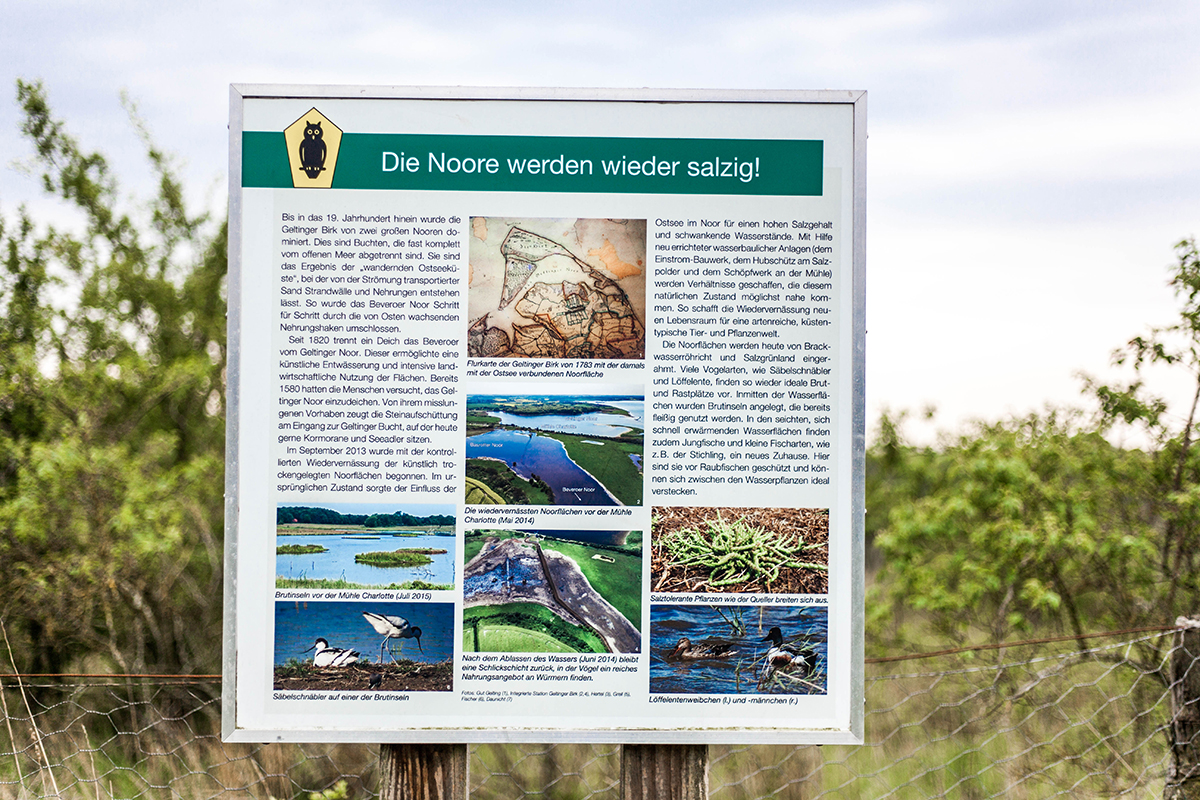 Schöne Schlei-Region: Komm' mit auf eine Fahrradtour zur Geltinger Birk