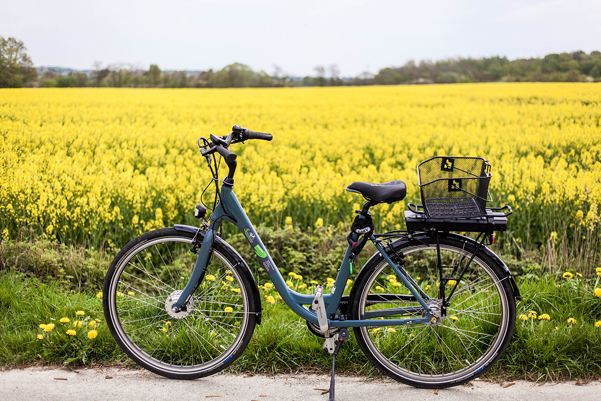 Schöne Schlei-Region: Komm' mit auf eine Fahrradtour zur Geltinger Birk