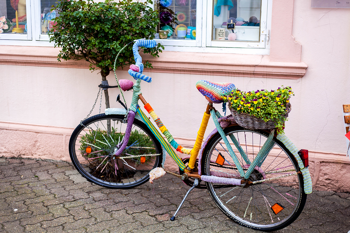 Schöne Schlei-Region: Komm' mit auf eine Fahrradtour zur Geltinger Birk