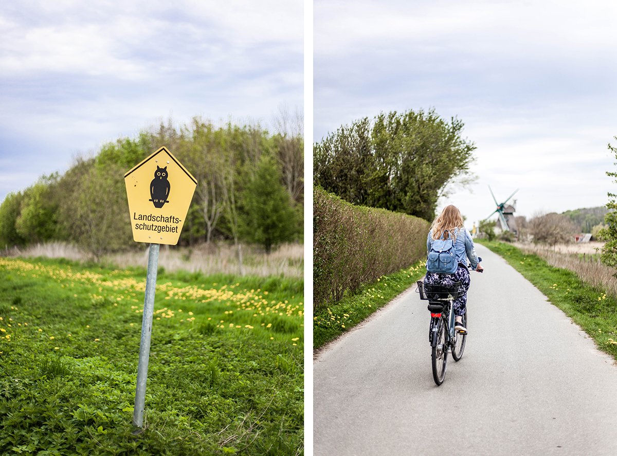 Schöne Schlei-Region: Komm' mit auf eine Fahrradtour zur Geltinger Birk
