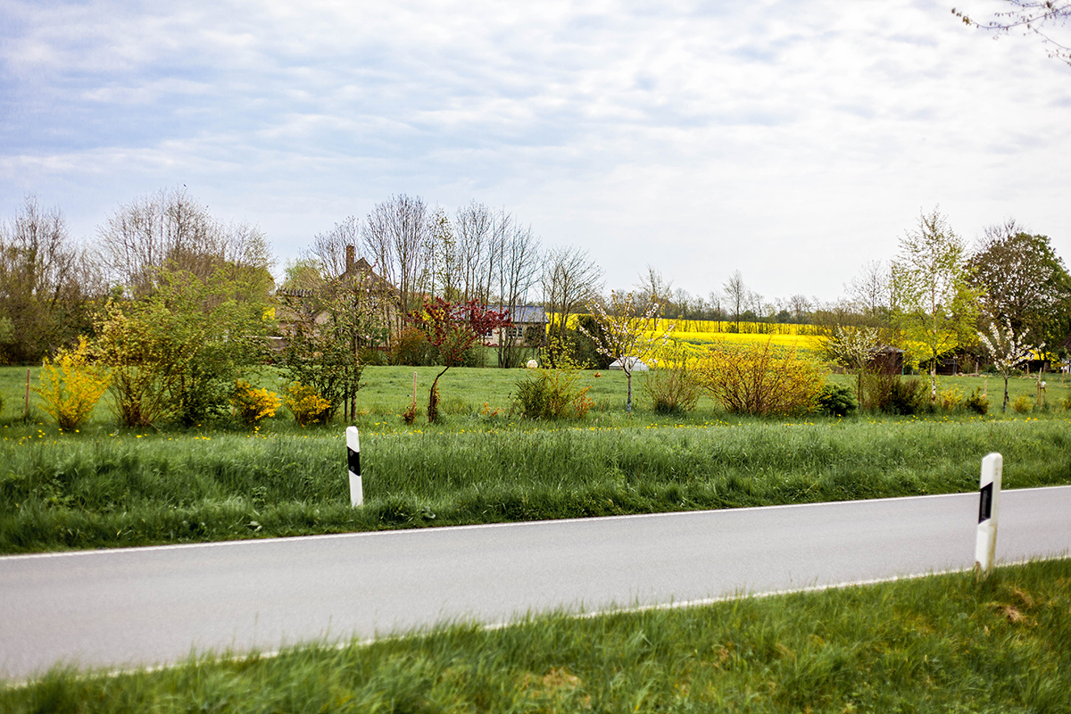 Schöne Schlei-Region: Komm' mit auf eine Fahrradtour zur Geltinger Birk