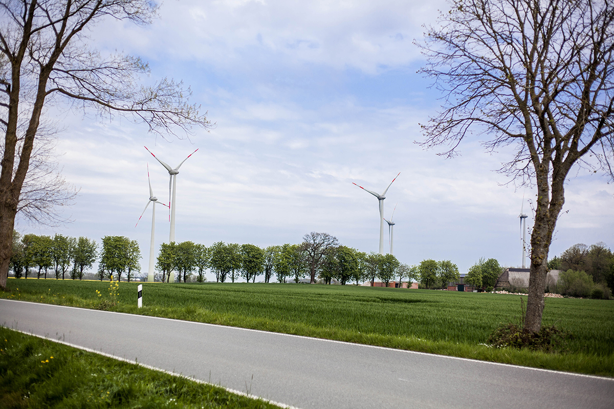 Schöne Schlei-Region: Komm' mit auf eine Fahrradtour zur Geltinger Birk