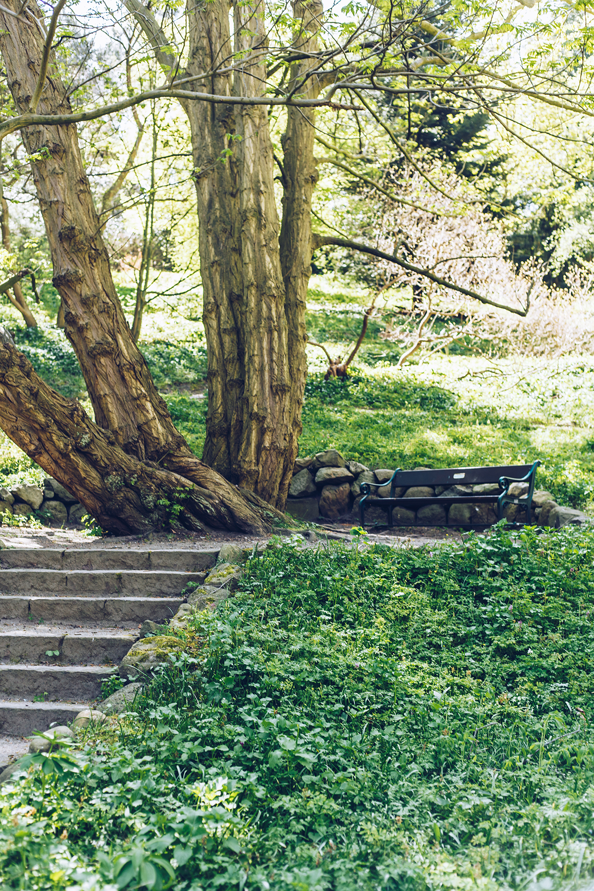 Lieblingsecken in Kiel: Der Alte Botanische Garten