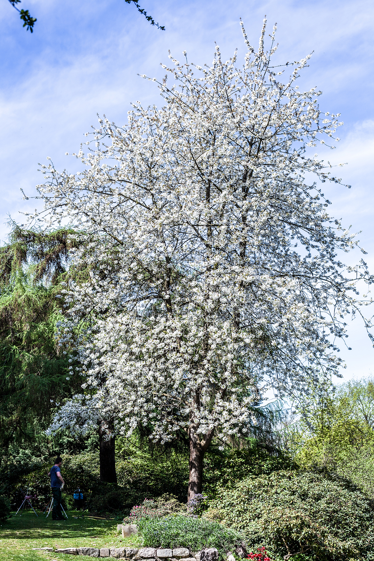 Lieblingsecken in Kiel: Der Alte Botanische Garten