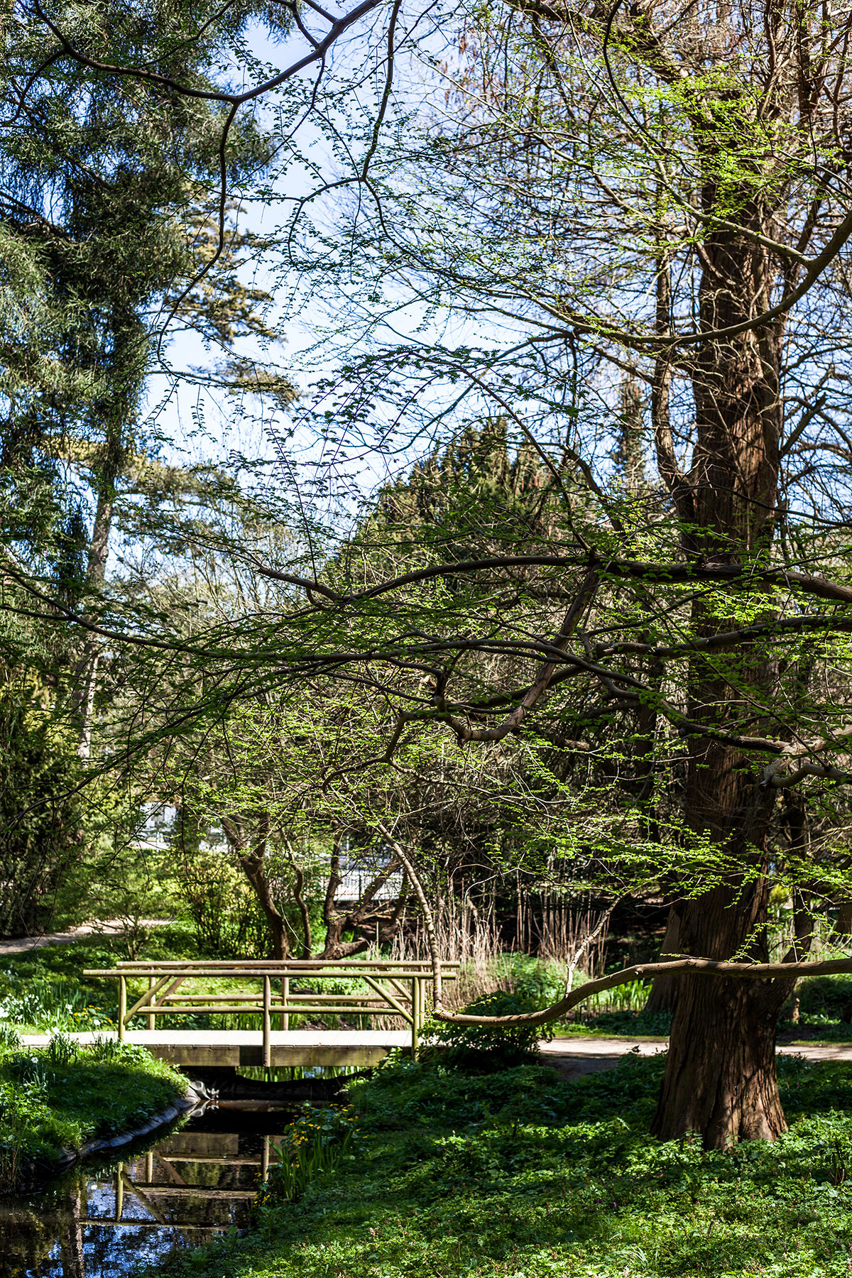 Lieblingsecken in Kiel: Der Alte Botanische Garten