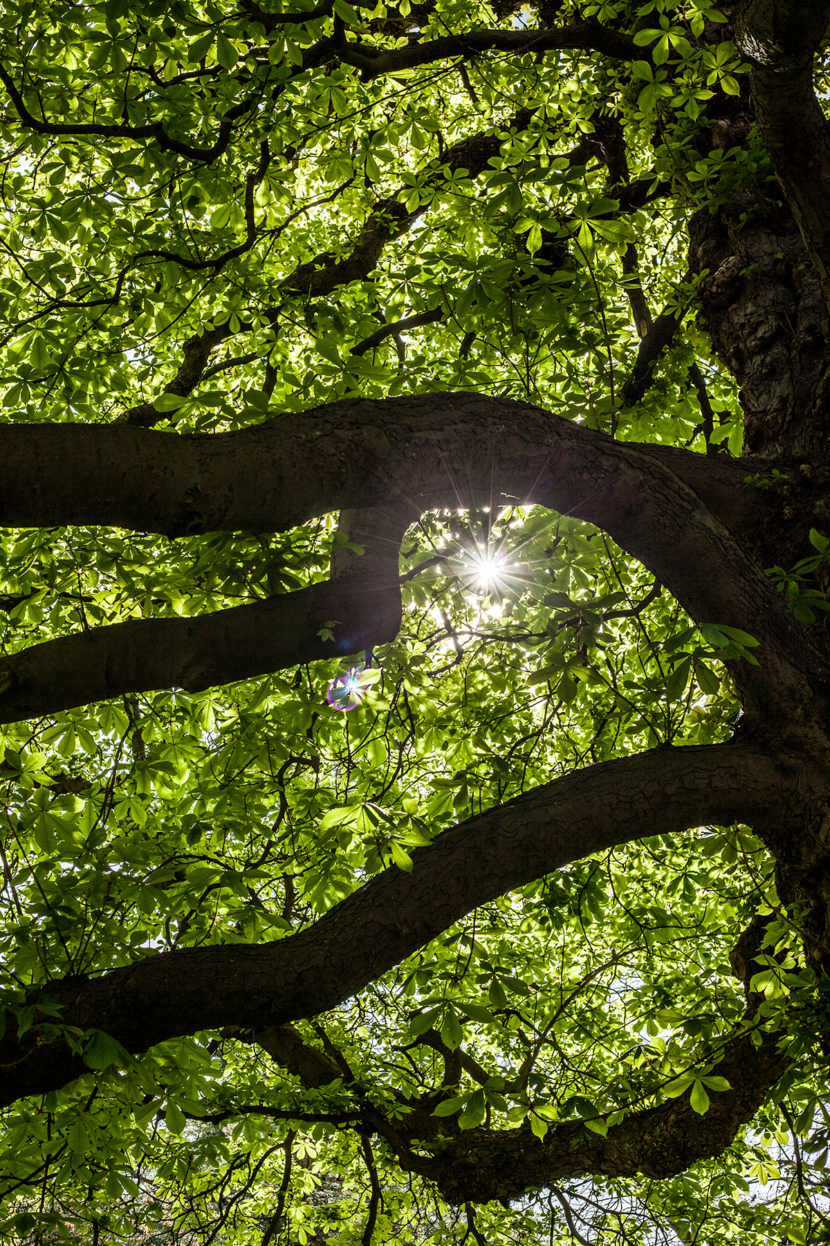 Lieblingsecken in Kiel: Der Alte Botanische Garten