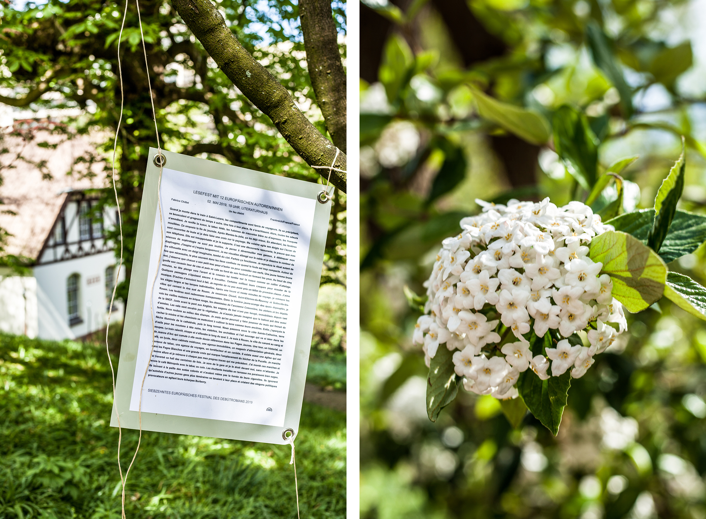 Lieblingsecken in Kiel: Der Alte Botanische Garten