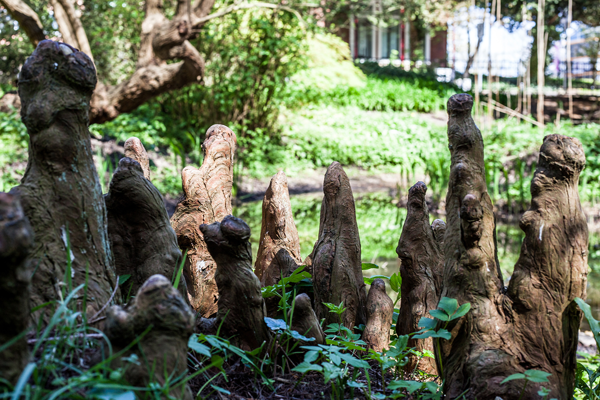 Lieblingsecken in Kiel: Der Alte Botanische Garten