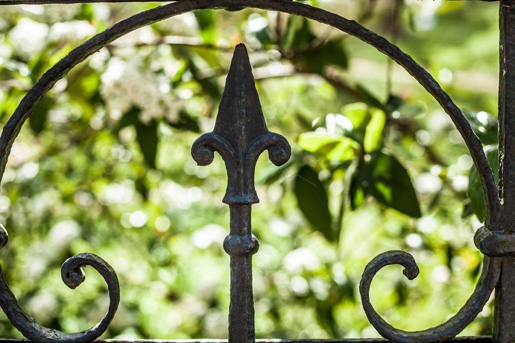 Kieler Ecken Der Alte Botanische Garten Förde Fräulein