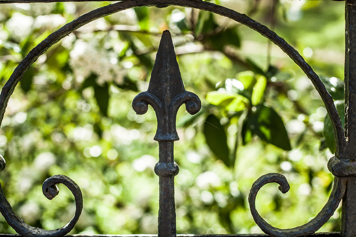 Lieblingsecken in Kiel: Der Alte Botanische Garten