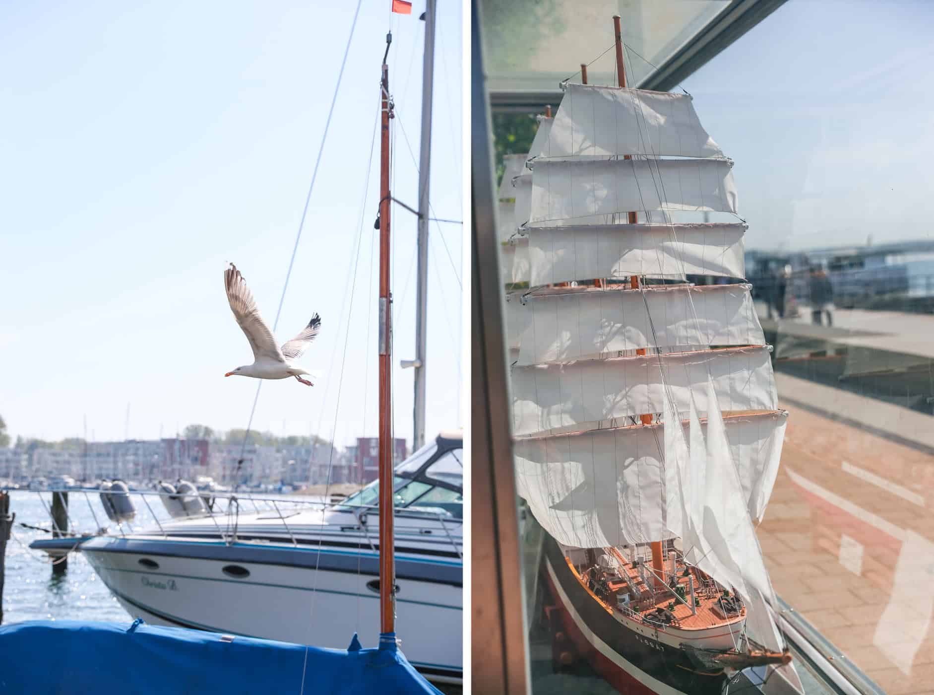 Eine Möwe fliegt über Boote im Travemünder Hafen hinweg