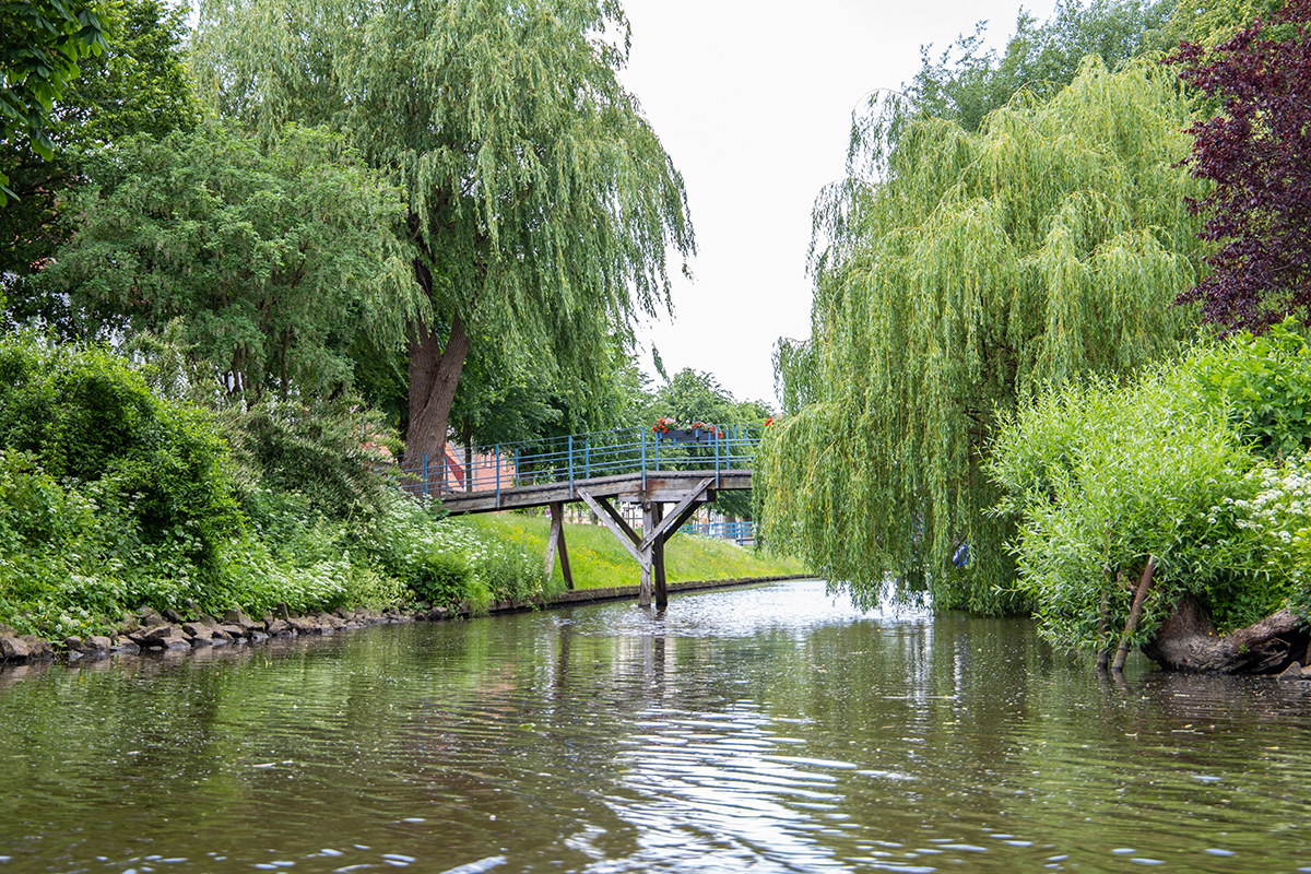 Die Treene, Bäume und eine Brücke