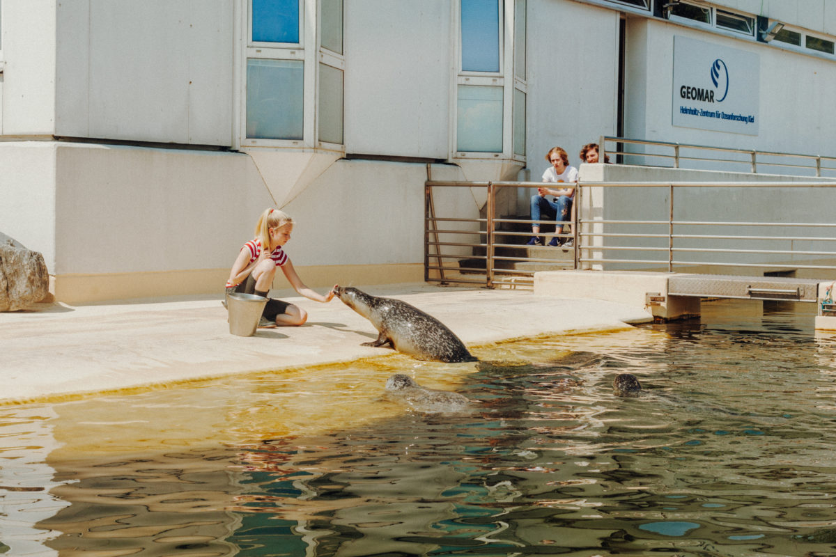 Kiel Kiellinie Aquarium Geomar Seehundbecken