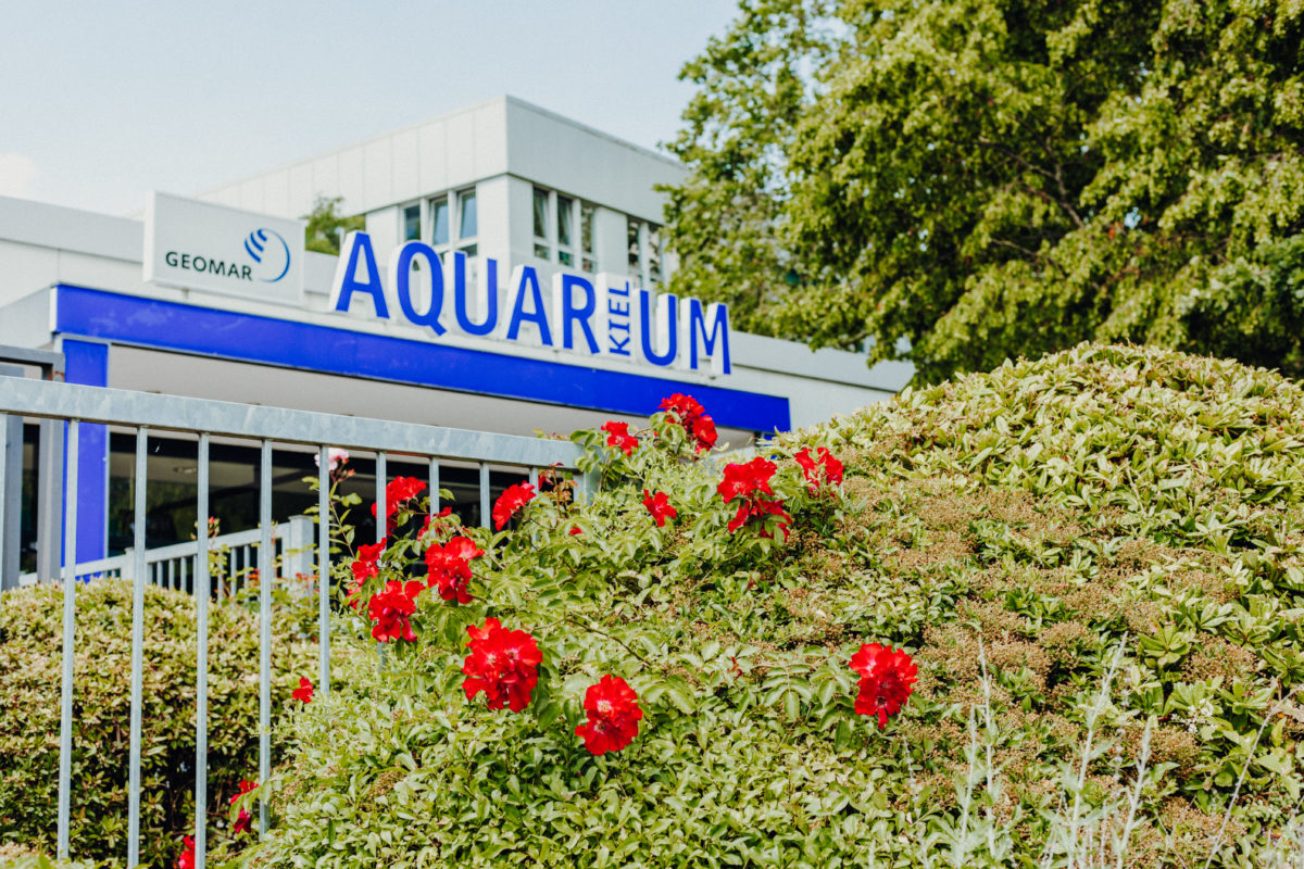 Aquarium Geomar Kiel Außenaufnahme