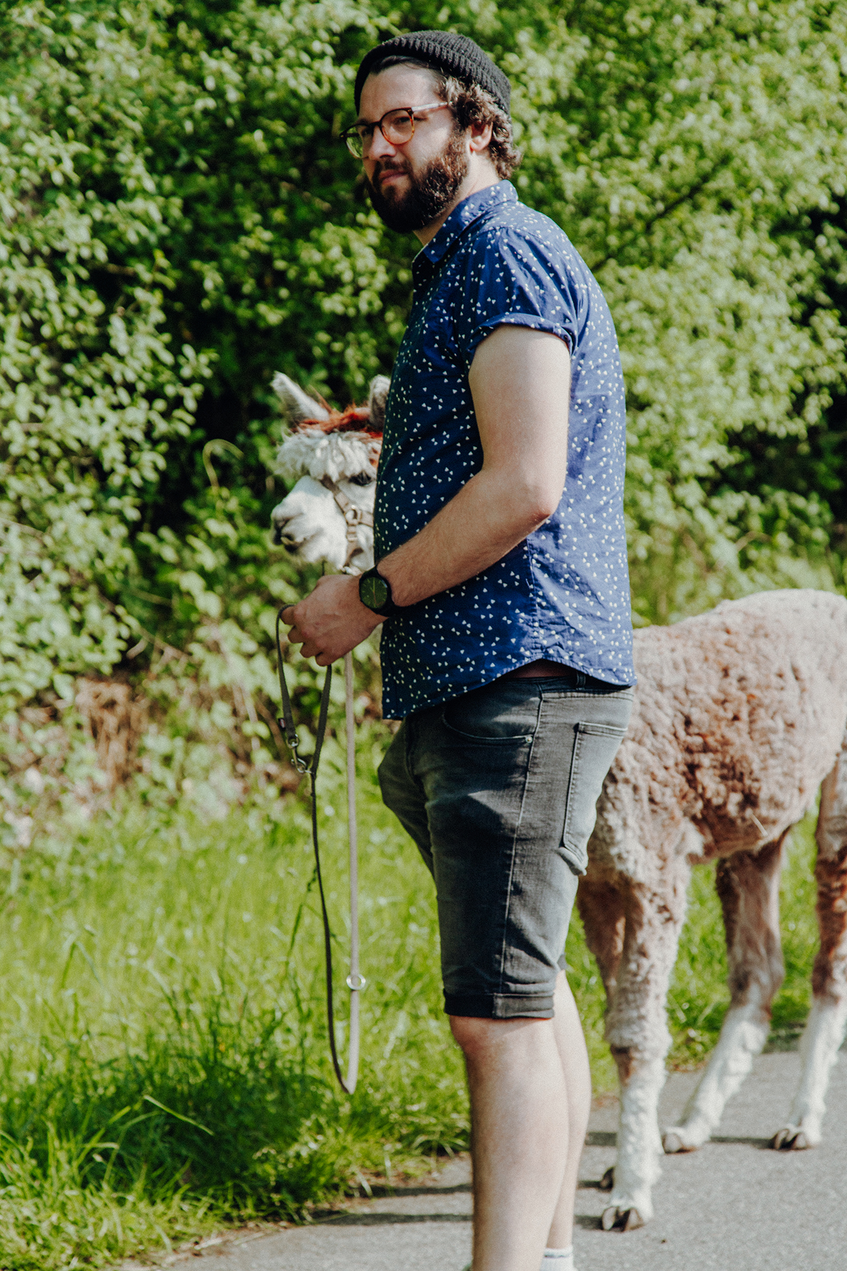 Wir sind nach Aukrug zur kleinen Wunderwiese gefahren und sind auf Wanderschaft mit Lamas und Alpakas gegangen