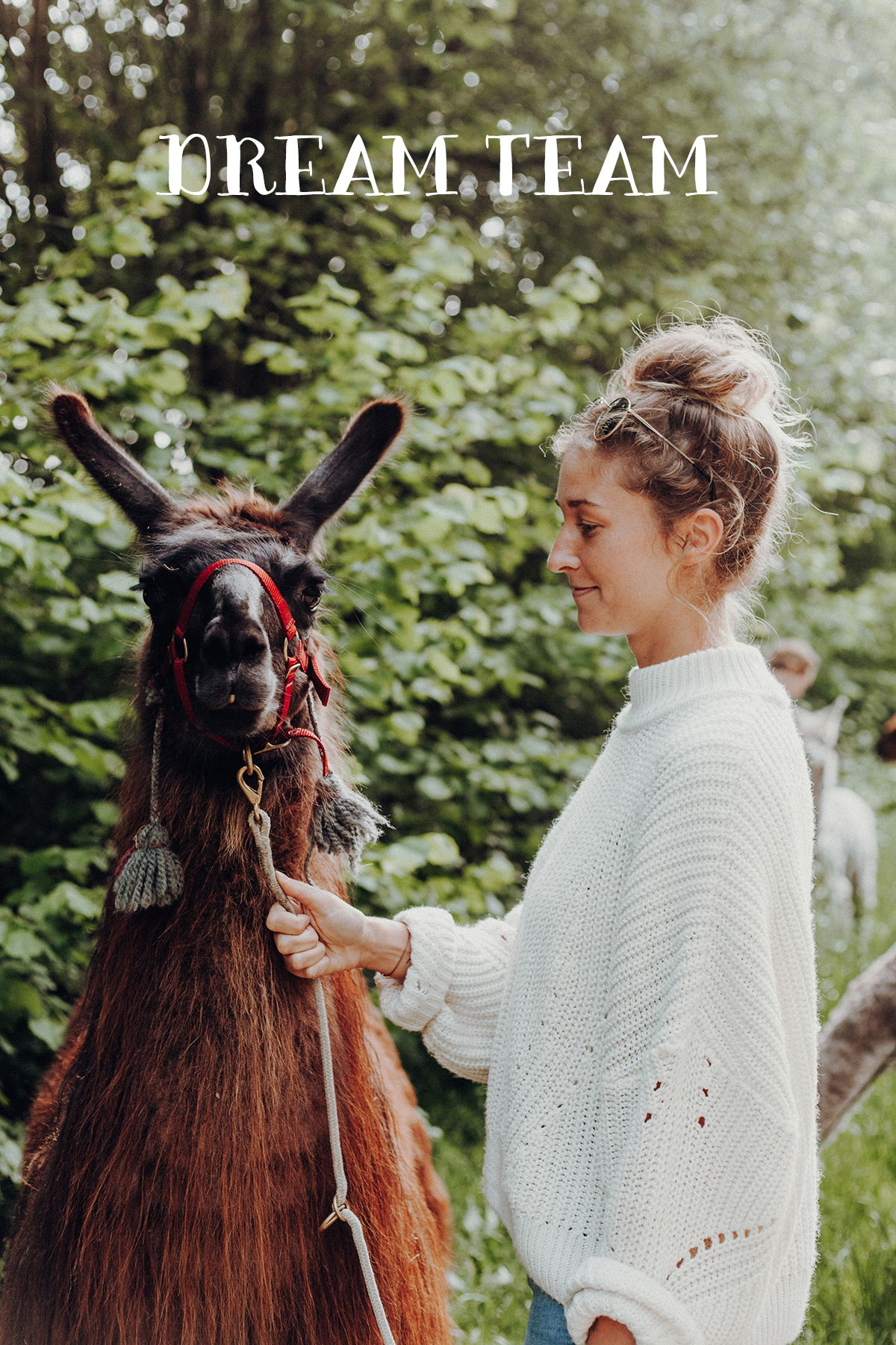 Wir sind nach Aukrug zur kleinen Wunderwiese gefahren und sind auf Wanderschaft mit Lamas und Alpakas gegangen