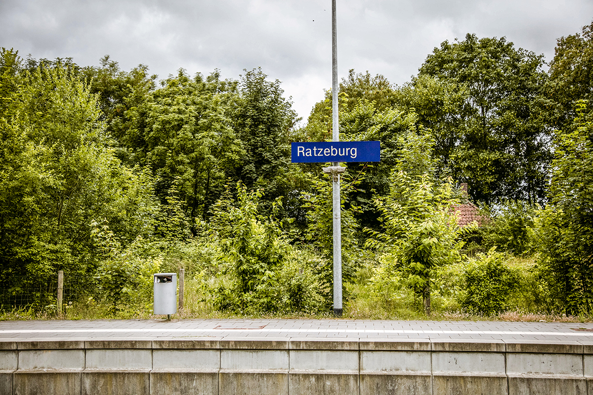 Ich habe eine Tagestour nach Ratzeburg unternommen, habe mich auf die Spuren eines Löwen begeben und die hübsche Altstadt der Inselstadt erkundet