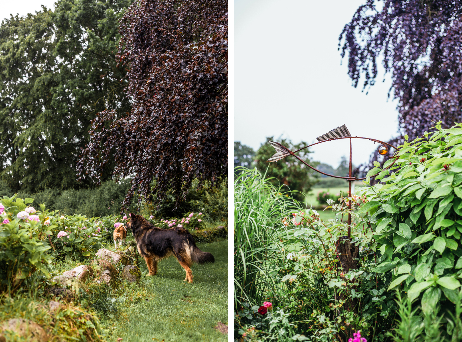 So wohnt der Norden: Ich war zu Besuch bei Familie Kriegshammer in Süderbrarup und habe den großen Garten bestaunt