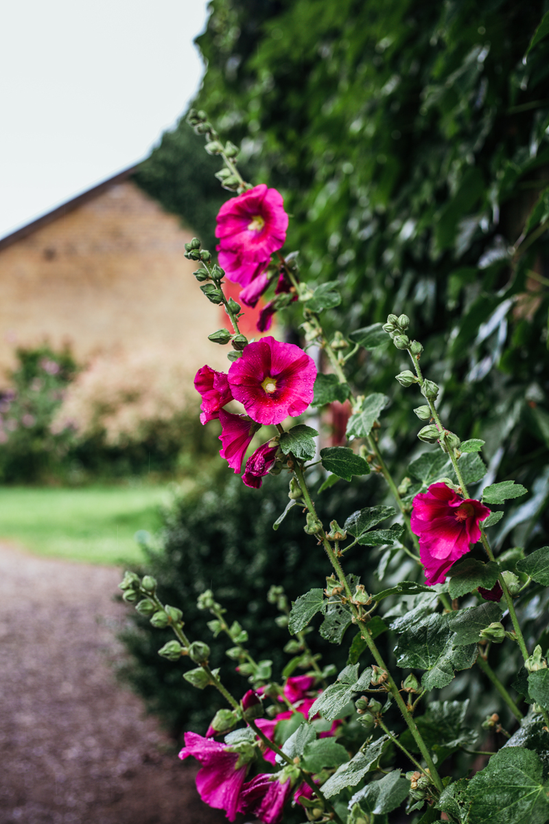 So wohnt der Norden: Ich war zu Besuch bei Familie Kriegshammer in Süderbrarup und habe den großen Garten bestaunt